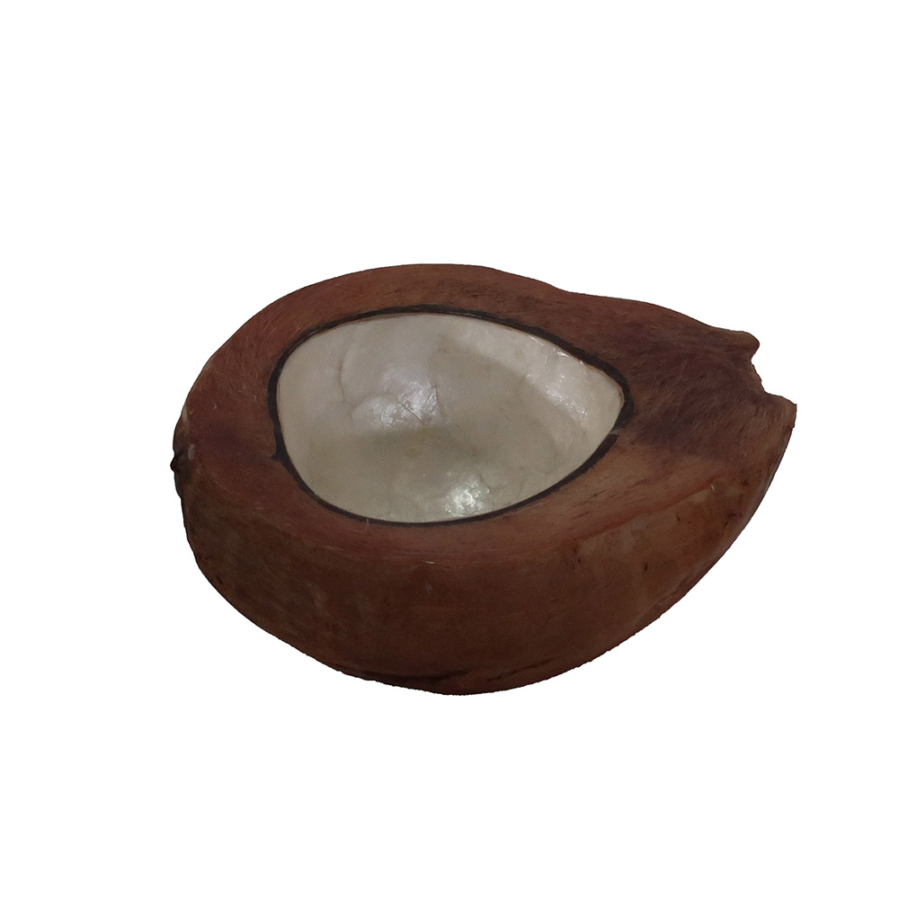 COCONUT WITH SHELL INLAY